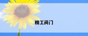 精工阀门