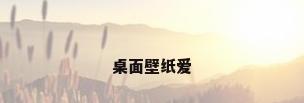桌面壁纸爱