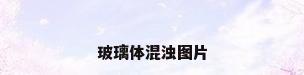 玻璃体混浊图片