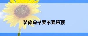 装修房子要不要吊顶