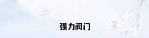 强力阀门