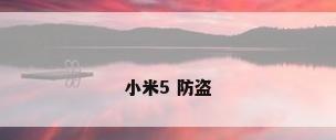 小米5 防盗