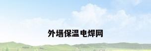 外墙保温电焊网