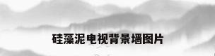 硅藻泥电视背景墙图片