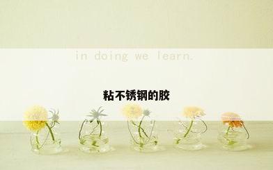 粘不锈钢的胶