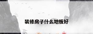 装修房子什么地板好