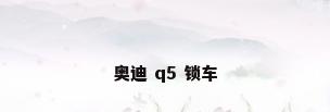 奥迪 q5 锁车