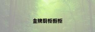 金牌厨柜橱柜
