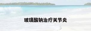 玻璃酸钠治疗关节炎
