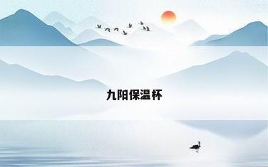 九阳保温杯
