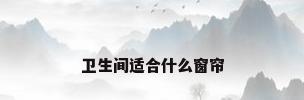 卫生间适合什么窗帘