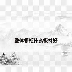 整体橱柜什么板材好