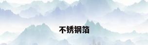 不锈钢箔