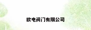 欧电阀门有限公司