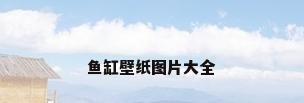 鱼缸壁纸图片大全