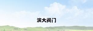 滨大阀门