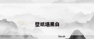 壁纸墙黑白
