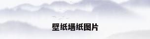 壁纸墙纸图片