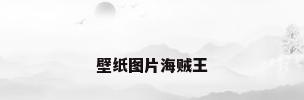 壁纸图片海贼王