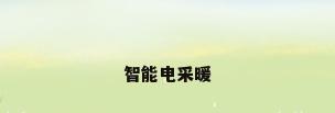 智能电采暖