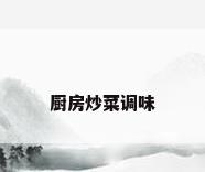 厨房炒菜调味