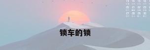 锁车的锁