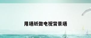 用墙纸做电视背景墙