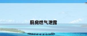 厨房燃气泄露