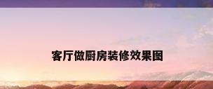 客厅做厨房装修效果图