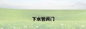 下水管阀门