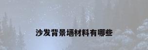 沙发背景墙材料有哪些