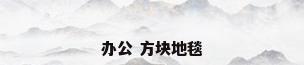 办公 方块地毯
