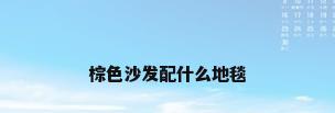 棕色沙发配什么地毯