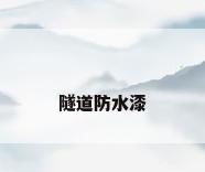 隧道防水漆