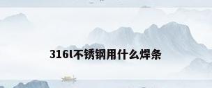 316l不锈钢用什么焊条