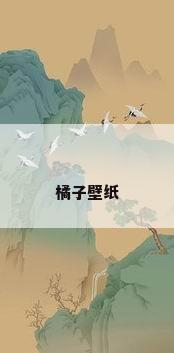橘子壁纸