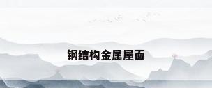钢结构金属屋面