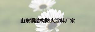 山东钢结构防火涂料厂家