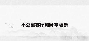 小公寓客厅和卧室隔断