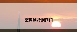 空调制冷剂阀门
