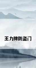 王力牌防盗门