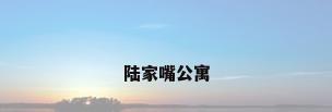陆家嘴公寓