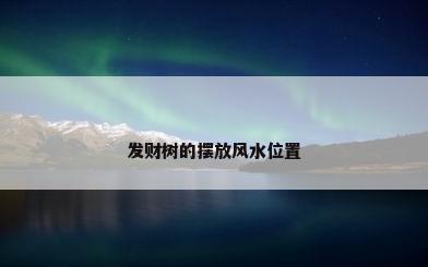 发财树的摆放风水位置