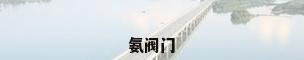 氨阀门