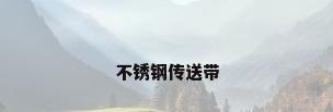 不锈钢传送带