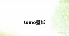 lomo壁纸