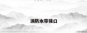 消防水带接口