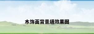 木饰面背景墙效果图