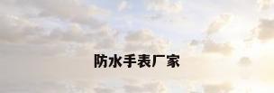 防水手表厂家