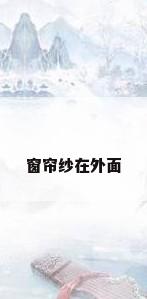 窗帘纱在外面